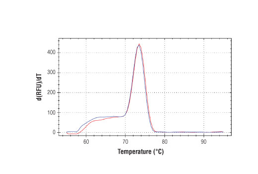 SimpleChIP Human KLK3 PromoterPrimers 500 µl