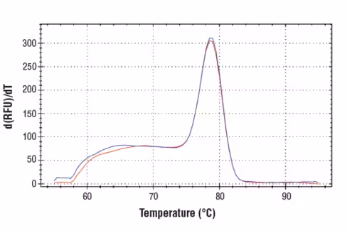 SimpleChIP Human PabPC1 Exon 1 Primers 500 µl
