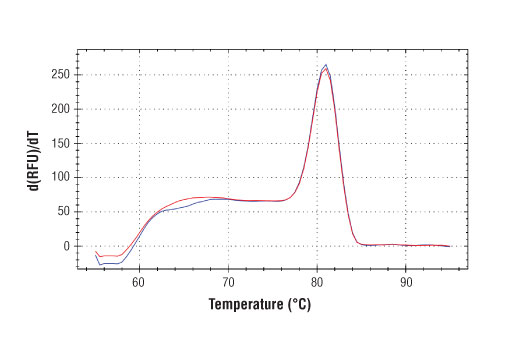SimpleChIP Mouse TXNIP Promoter Primers 500 µl