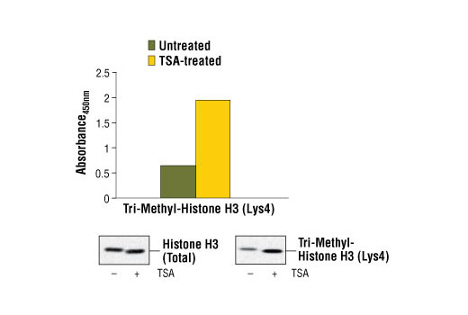 PathScan Tri-Methyl-Histone H3 (Lys4) Sandwich ELISA Kit 1 kit