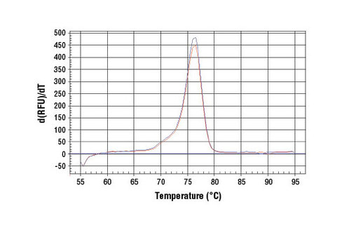 SimpleChIP Rat CCRN4L Promoter Primers 500 µl