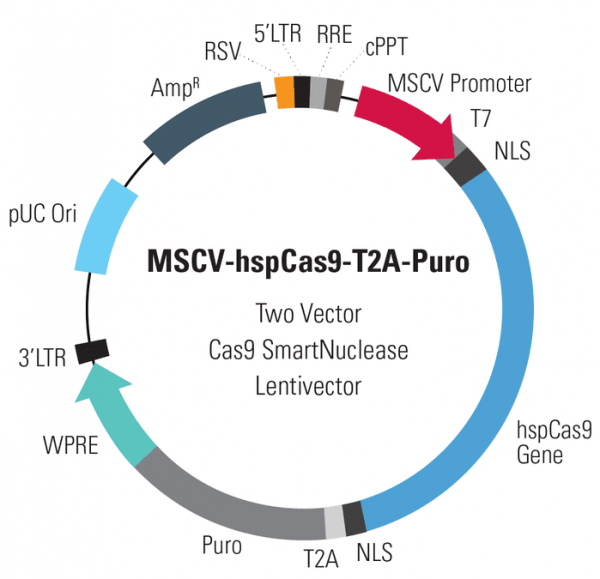 MSCV-hspCas9-T2A-Puro SmartNuclease Lentivector Plasmid + LentiStarter Packaging Kit (CRISPR) 1 Kit