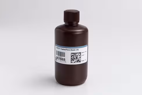 FoxP3/Transcription Factor Fixation/Permeabilization Diluent (1X) 160 mL