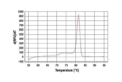 SimpleChIP Human FKBP51 Intron 5 Primers 500 µl