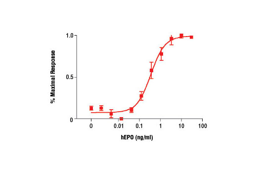 Human Erythropoietin (hEPO) 10 µg