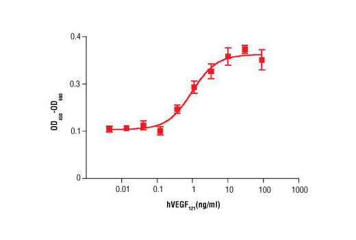 Human Vascular Endothelial Growth Factor-121 (hVEGF121 ) 10 µg