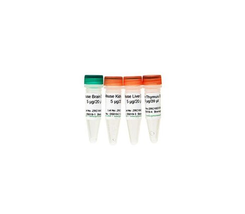 Mouse Liver DNA 5 ug