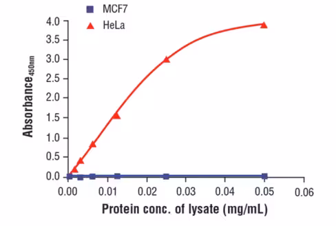 FastScan Total Vimentin ELISA Kit 1 kit