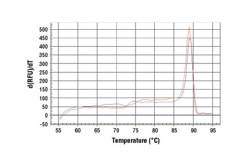SimpleChIP Human ESR1 Promoter Primers 500 µl