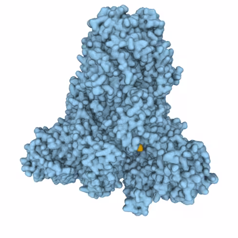 PPACK-SPIKE P1, SARS-CoV-2 S Pseudotype - P1 Variant - Lentivector Packaging Mix 10 réactions