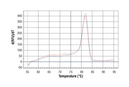 SimpleChIP Human NR4A3 Promoter Primers 500 µl
