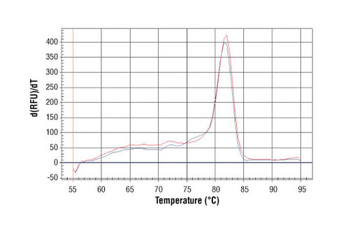 SimpleChIP Human NR4A3 Promoter Primers 500 µl