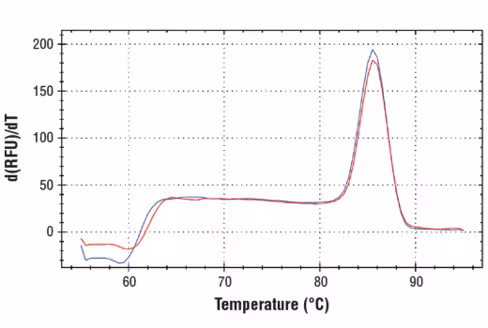 SimpleChIP Human DNAJB9 Exon 1 Primers 500 µl