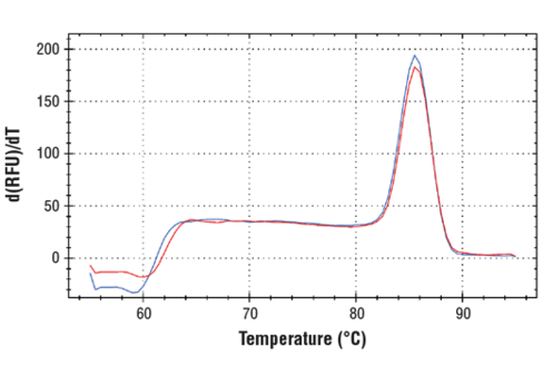 SimpleChIP Human DNAJB9 Exon 1 Primers 500 µl