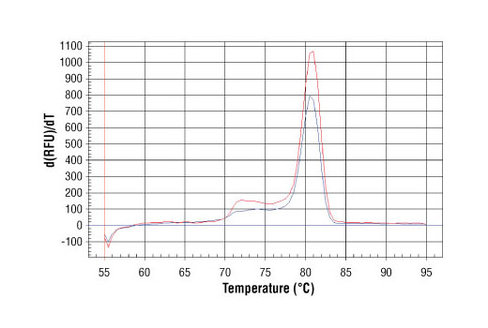 SimpleChIP Human SUB1 Promoter Primers 500 µl