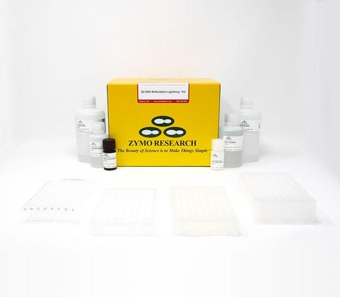 EZ-96 DNA Methylation-Lightning Kit (Shallow-Well) 2 x 96 rxns
