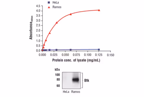 FastScan Total Btk ELISA Kit 1 kit