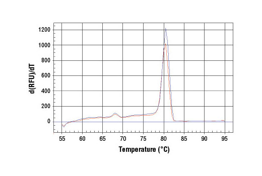 SimpleChIP Mouse MEST Promoter Primers 500 µl