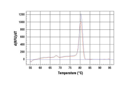 SimpleChIP Mouse MEST Promoter Primers 500 µl