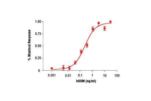 Human Oncostatin M (hOSM) 10 µg