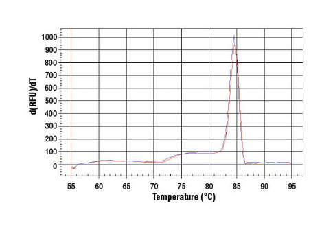 SimpleChIP Human CDKN1A Promoter Primers 500 µl