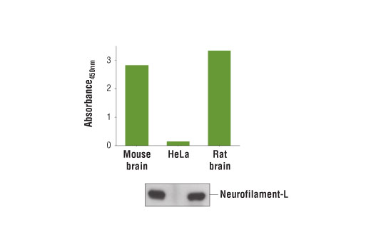 PathScan Total Neurofilament-L Sandwich ELISA Kit 1 kit