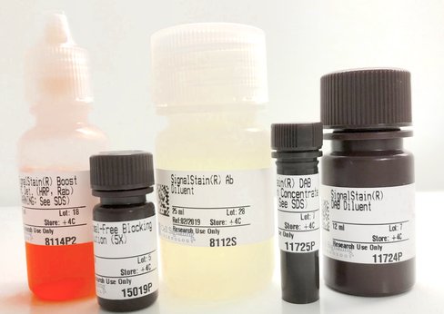 Immunohistochemistry Application Solutions Kit (Rabbit) 1 kit