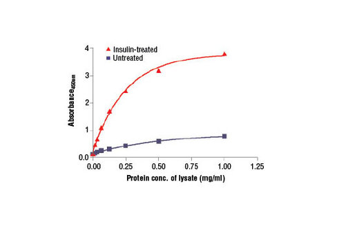 PathScan Phospho-PRAS40 (Thr246) Sandwich ELISA Kit 1 kit