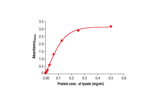 PathScan Total alpha-Tubulin Sandwich ELISA Antibody Pair 1 kit