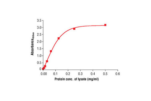 PathScan Total alpha-Tubulin Sandwich ELISA Antibody Pair 1 kit