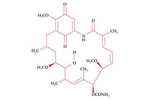 Geldanamycin 600 µg
