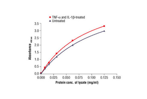 PathScan Total NF-kappaB p65 Sandwich ELISA Antibody Pair 1 kit