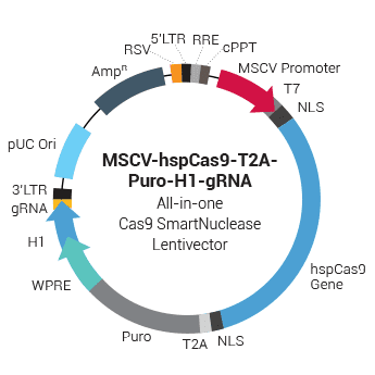 MSCV-hspCas9-T2A-Puro-H1-gRNA linearized all-in-one SmartNuclease Lentivector Plasmid (CRISPR) 10 rxns