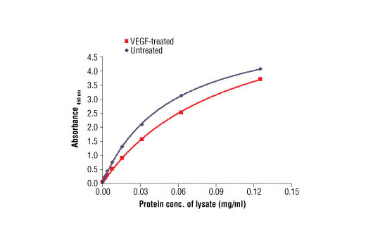 PathScan Total VEGFR-2 Sandwich ELISA Antibody Pair 1 kit