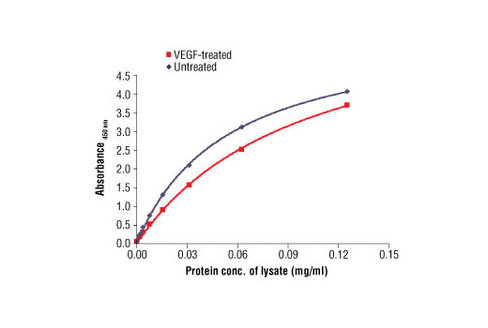 PathScan Total VEGFR-2 Sandwich ELISA Antibody Pair 1 kit