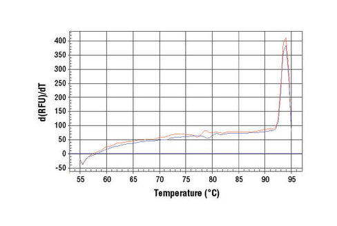 SimpleChIP Human CDKN1B Promoter Primers 500 µl