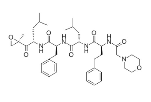 Carfilzomib 1 mg