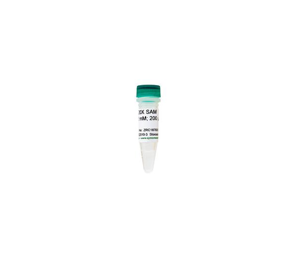 20X SAM (S-adenosylmethionine) 200 µl