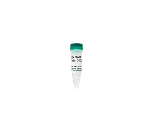 20X SAM (S-adenosylmethionine) 200 µl