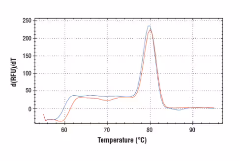 SimpleChIP Human ASXL1 Upstream Primers 500 µl