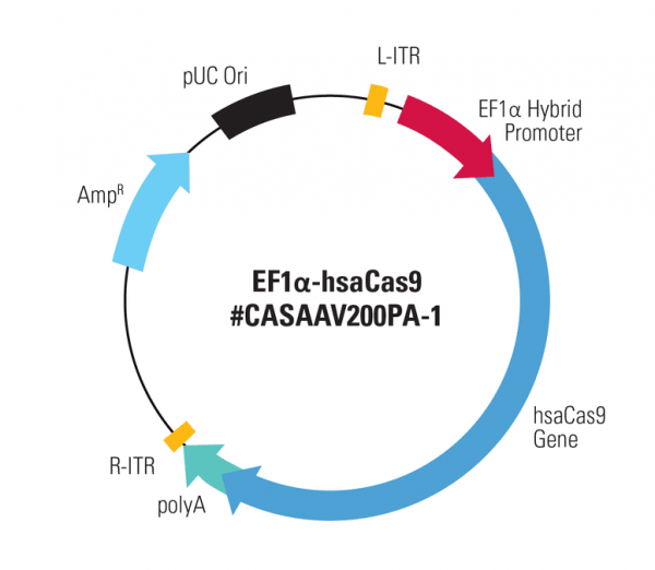 EF1a-hsaCas9 SmartNuclease AAV Plasmid 10 µg