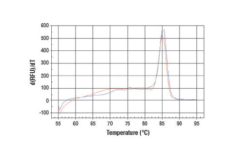 SimpleChIP Human 28S rDNA Repeat Primers 500 µl