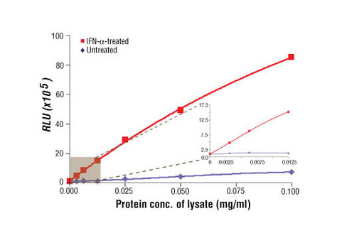 PathScan Phospho-Stat3 (Tyr705) Chemiluminescent Sandwich ELISA Kit 1 kit