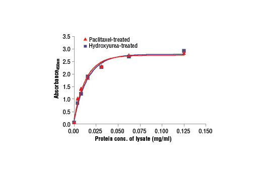 PathScan Total Vimentin Sandwich ELISA Kit 1 kit