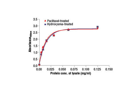 PathScan Total Vimentin Sandwich ELISA Kit 1 kit