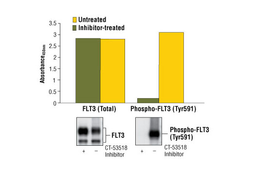 PathScan Total FLT3 Sandwich ELISA Kit 1 kit