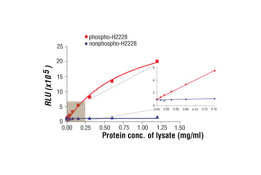PathScan Phospho-ALK (Tyr1604) Chemiluminescent Sandwich ELISA Kit 1 kit