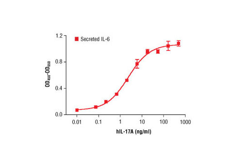Human Interleukin-17A (hIL-17A) 10 µg