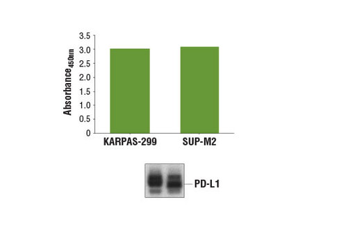 PathScan TotalPD-L1 Sandwich ELISA Kit 1 kit