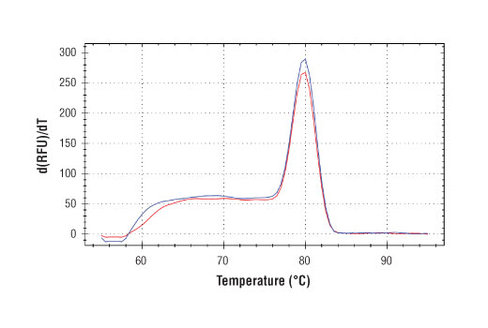 SimpleChIP Human C/EBPdelta Promoter Primers 500 µl